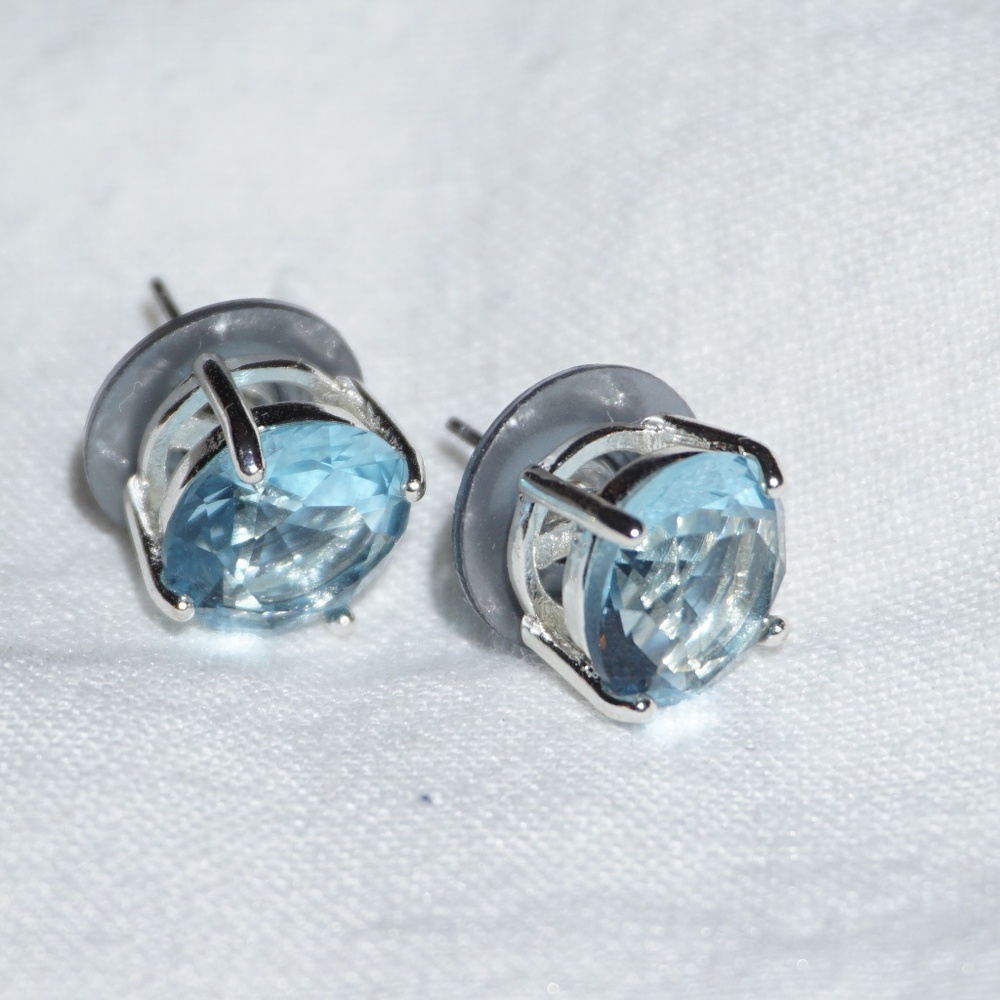 Silver and Blue Earrings
